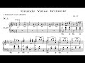 Chopin: 14 Waltzes (Zimerman)