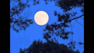 Éric Lapointe - L'exquise