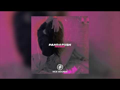Pandapush - Numb