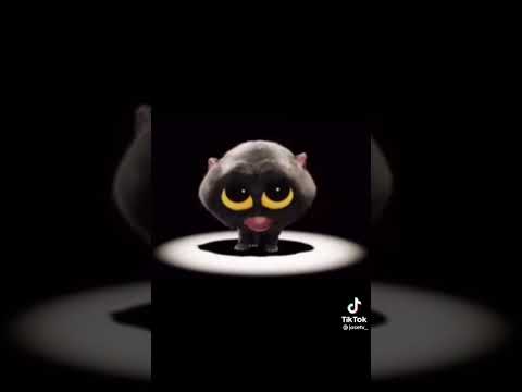 I'm a scatman 😎 #scatman #funny