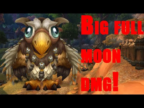 Fear the full moons! - Balance druid pvp dragonflight 10.1.7