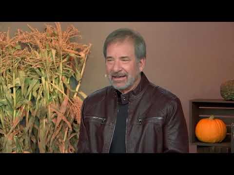 13-2 Adamus - Merlin I Am Series 2 - WELCOME - November, 2020