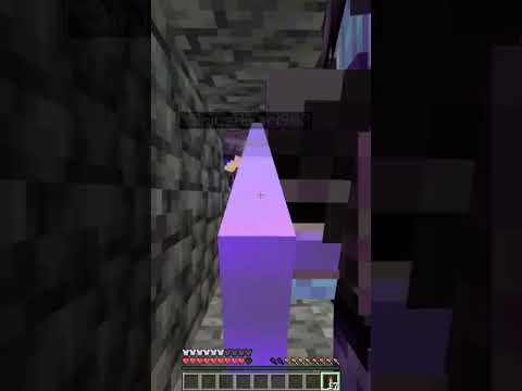 Become bat in Minecraft! Shizo tutorial