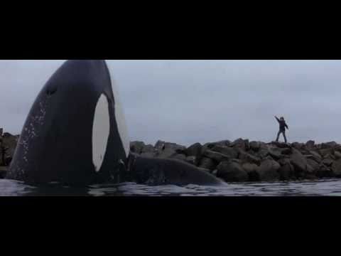 BEST ENDING EVER - FREE WILLY