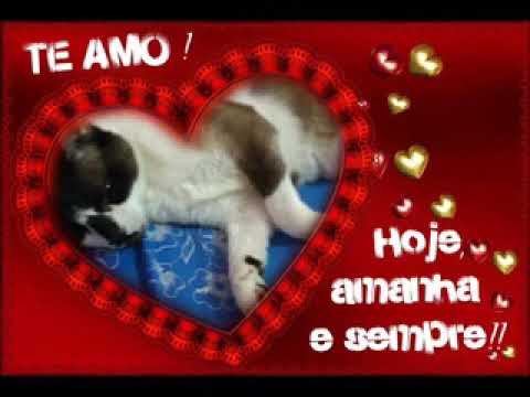 Cristina Mel e Marcelo Nascimento - Ao Amigo Distante