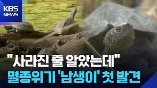 "사라진 줄 알았는데"…멸종위기 '남생이' 첫 발견 / KBS 2026.06.23.