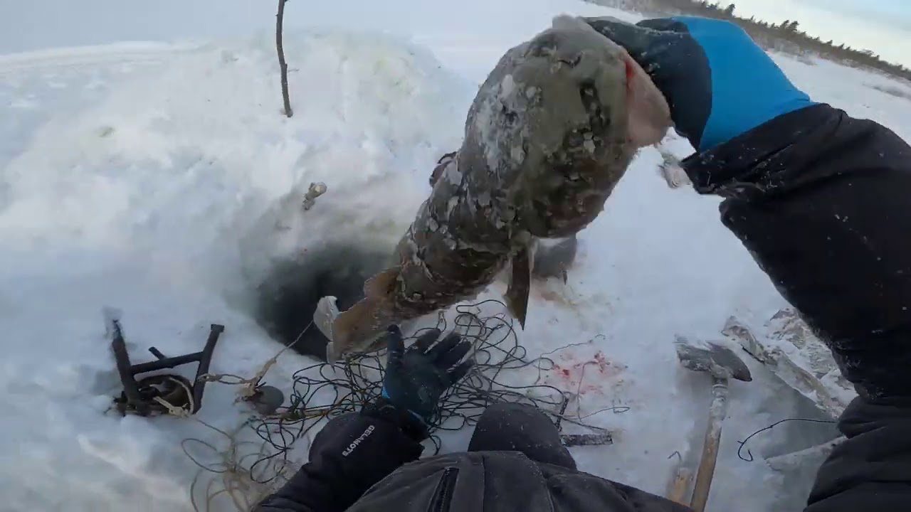 Зимняя Рыбалка в мороз на Налима 16. 01. 2021 #60