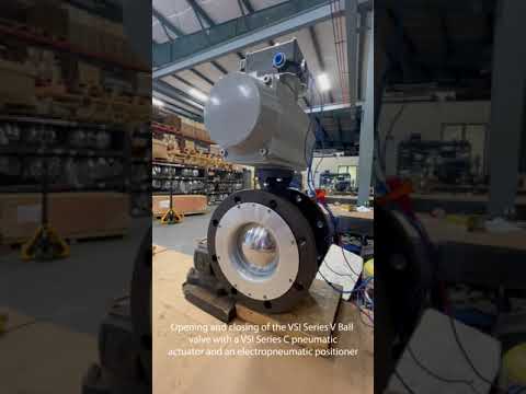 Vsi Valves
