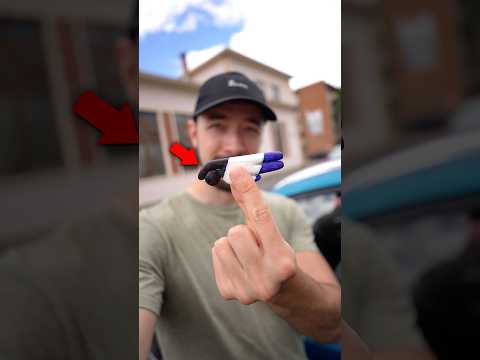 Meccha Chameleon a Valóságban!😱