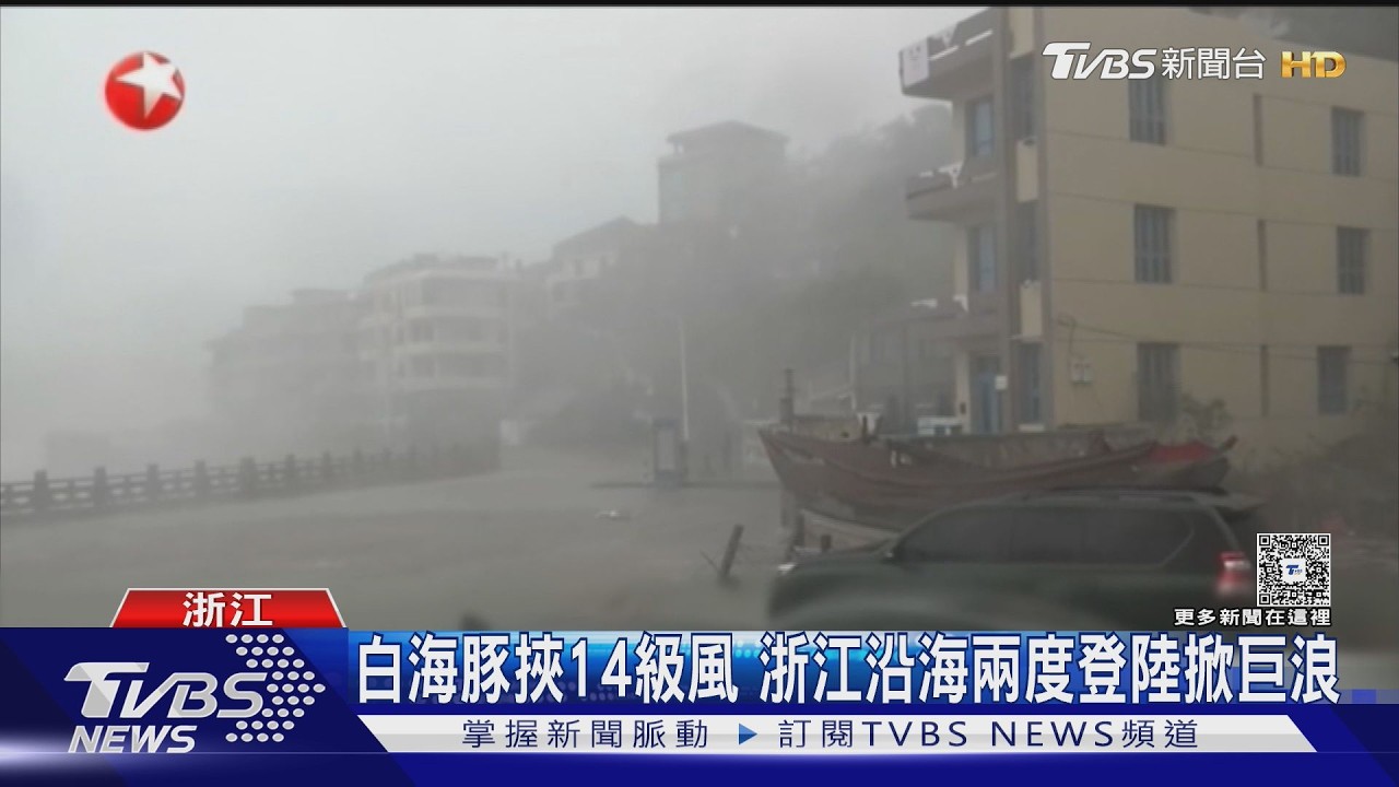 影音/颱風白海豚重創上海!20公尺大樹折斷「砸進民宅」屋主嚇壞