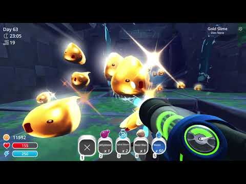 The Hunt For The Gilded Ginger