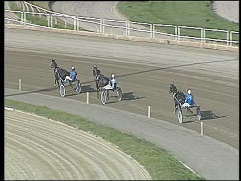 Trotto 27/05/2016 - prova di qualifica