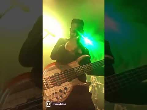 Mr. Ray Bass - Phunky Reggae (Live at One Love Reggae Cruise 🚢)