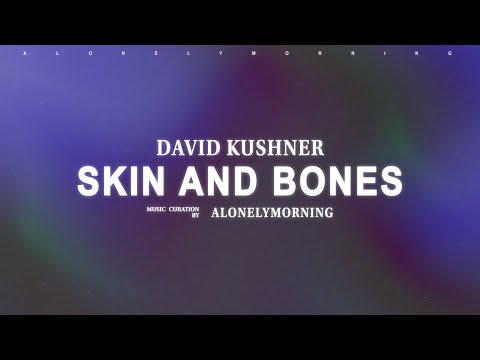 David Kushner - Skin and Bones (Lyrics)