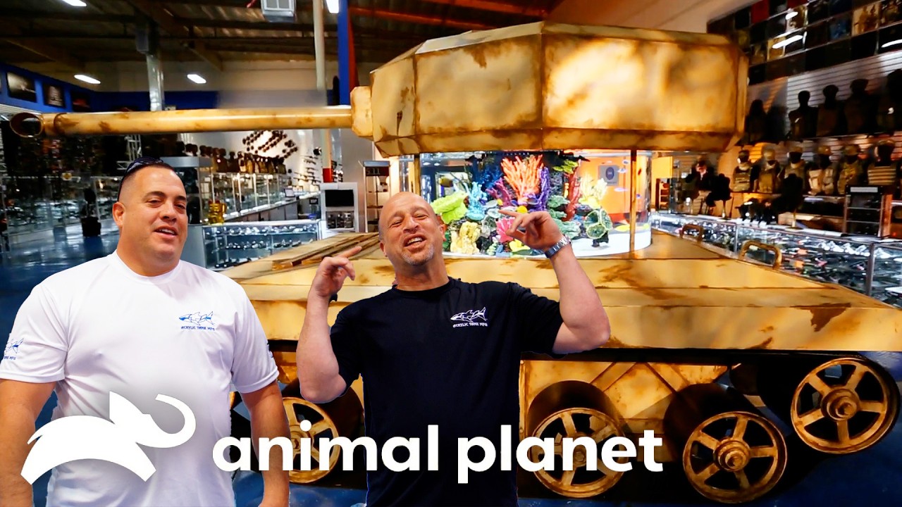 A Fish Tank in an ACTUAL World War II TANK! | Tanked | Animal Planet
