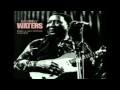 Muddy Waters - Rollin' And Tumblin' - [ Live 1976 ]