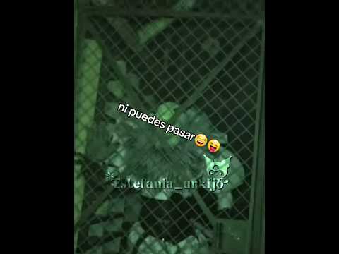 Jajajaj 😝🙄😎alfa ridículo #viralvideo #vigevani #follow #humor #fedevigevani #edit #clubmisterio