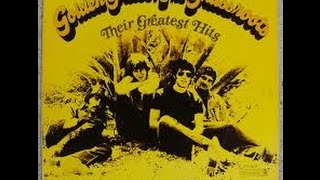 Golden Grass,The Grassroots There Greatest Hits / lets  live for today