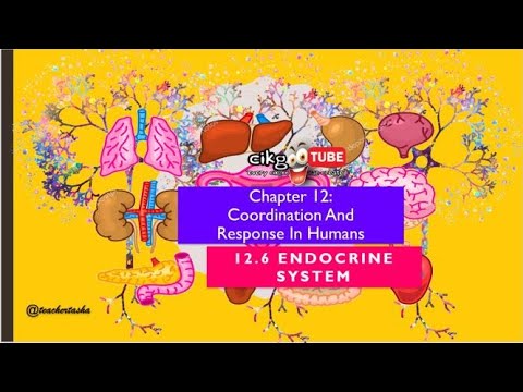 BIOLOGY KSSM FORM 4: 12.6 ENDOCRINE SYSTEM
