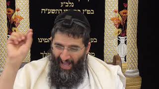 הרב אופיר טנג'י - אקטואליה בפרשה - פרשת בהר - חלק א'
