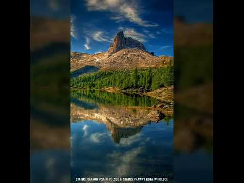 The Last of the Mohicans: Main Title, Elk Hunt, Bridge at Lacrosse