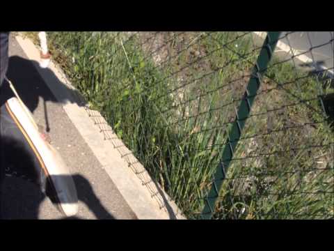 [Chubby Bunny] (Versi Style) Insieme a simone che fa i versi