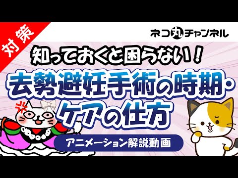 避妊手術を受けた猫の世話をする