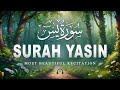Surah Yaseen سورة يس Soothing Beautiful Recitation For Inner Peace By Alaa Aqel Quran For Slee