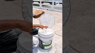 Asian Paint SMARTCARE DAMP SHEATH EXTERIOR ADVANCED Mixing Violet #shorts #viral #paint #wallpaint