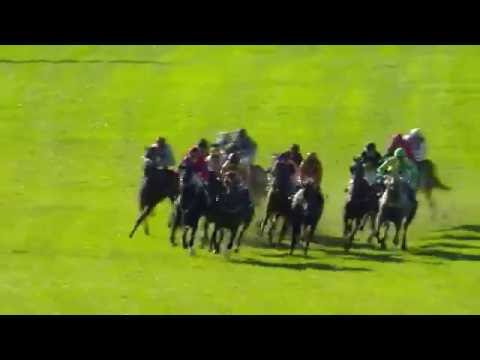 2016.10.02 Breeders Prize Sprint (NOR) - Beaufort Twelve