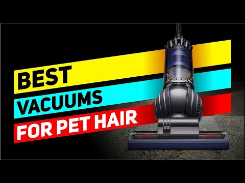 Best Vacuums for Pet Hair 👌 Top 5 Vacuum Picks