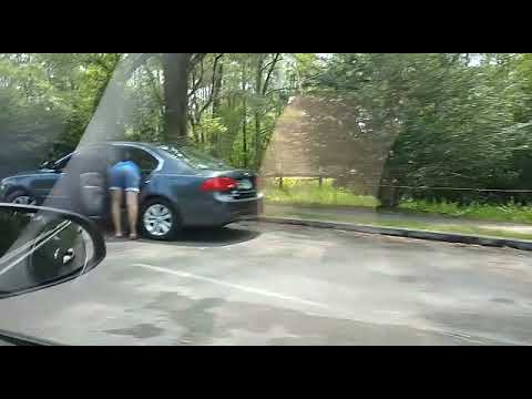 Happy 4th of July! Okefenokee Swamp Park Ware Co GA. Where's the Gators?