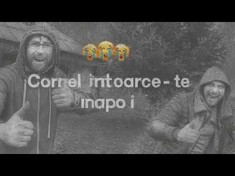 Cornel - Întoarce-te înapoi ( Official Audio )