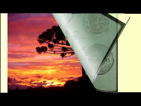 A Carta video