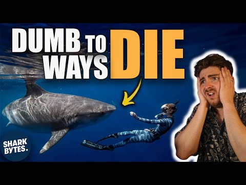 Ocean Ramsey Doesn't Want You To Watch This