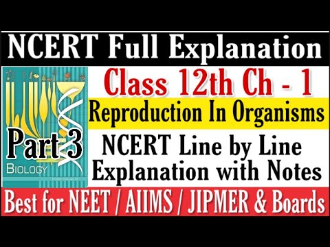 Reproduction in Organisms Class XII NCERT explanation for NEET/AIIMS/JIPMER & Boards Part 3