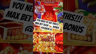 BIG WIN TIGGER AND DRAGON MULTIPLAYER SLOT $5.00 BET #shorts