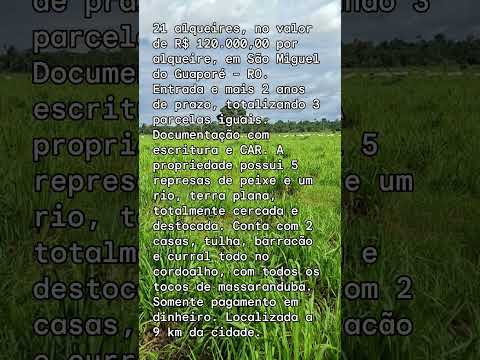 21 alqueires,  9 km da cidade  de São Miguel do Guaporé, Rondônia
