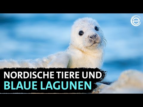 Die Ostsee - von Estland bis Finnland | Erlebnis Erde