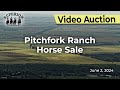 Pitchfork Ranch Horse Sale