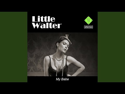 Trouble No More (feat. Muddy Waters)