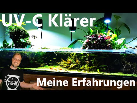 UV-C clarifier in aquariums - When is its use advisable? My experiences