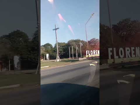 Pescando en el río Paraná Florencia Santa Fe Argentina 🔥🔥🔥💯