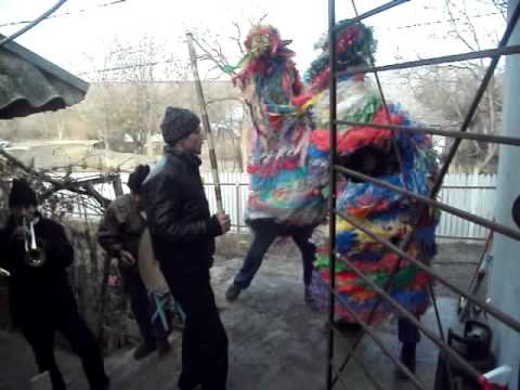 Capra de la Gaiceana 2.