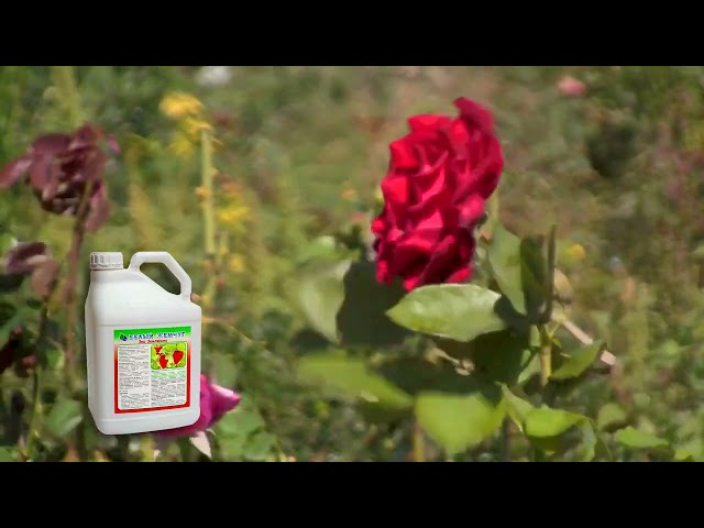 Купить удобрение Райкат Старт | Официальный сайт ООО "Группа Компаний ...