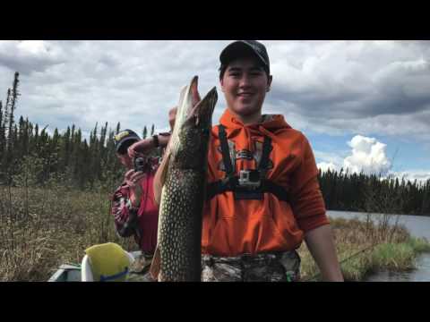 Fly in Walleye fishing Ontario, Canada Kabeelo Lodge 2017