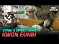 [C.C.] Christmas in September?! EUNBI's house reveal #KWONEUNBI