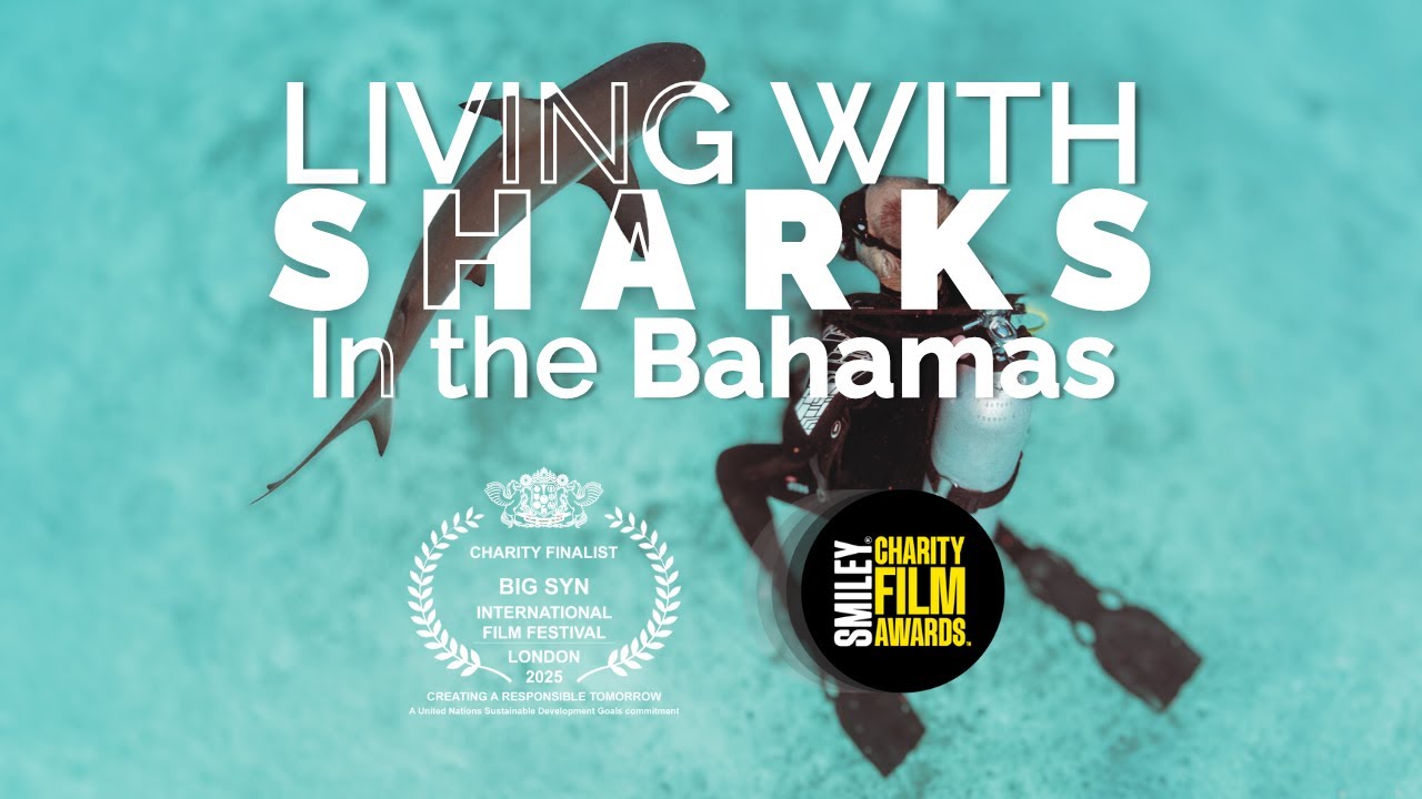 Living with Sharks