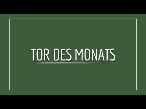 Tor des Monats September im Kinderfußball