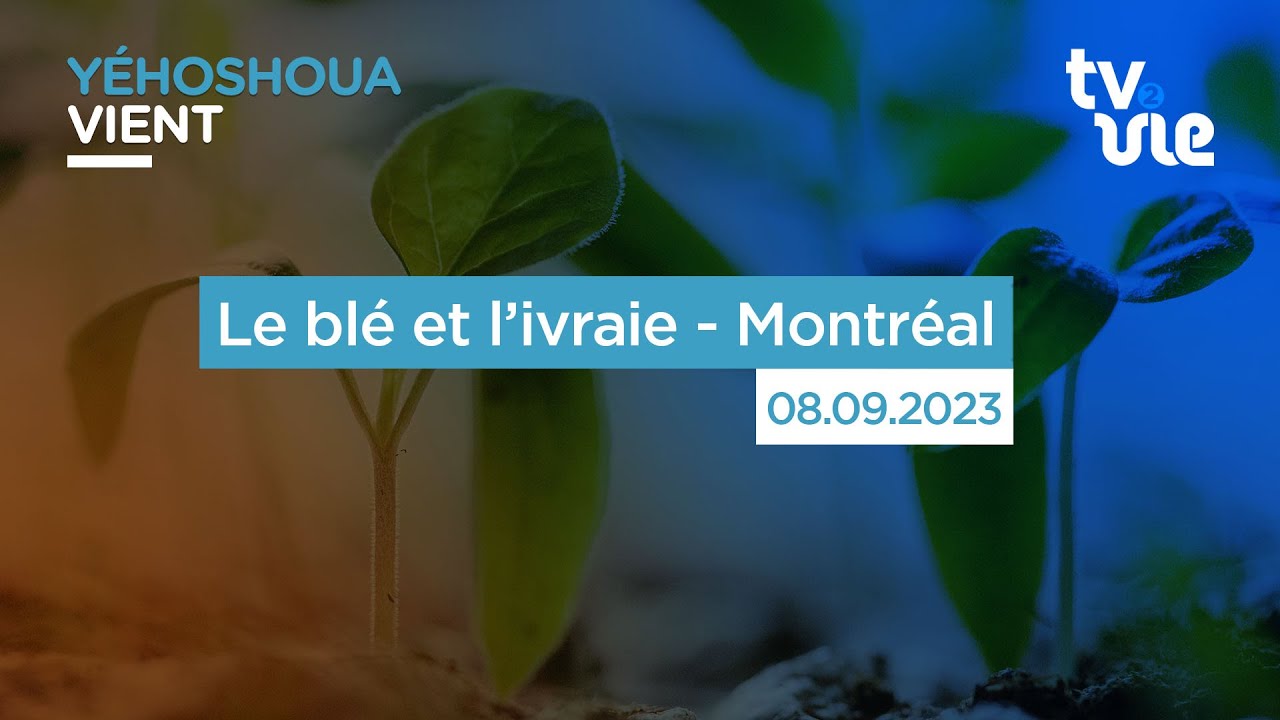 Thumbnail of video: Le blé et l’ivraie - Montréal